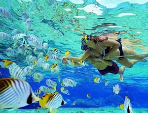 Snorkeling — photo 2